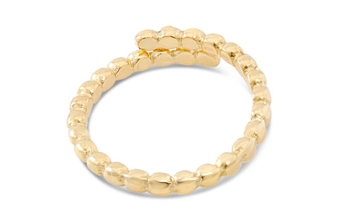 Gepunkteter Ring